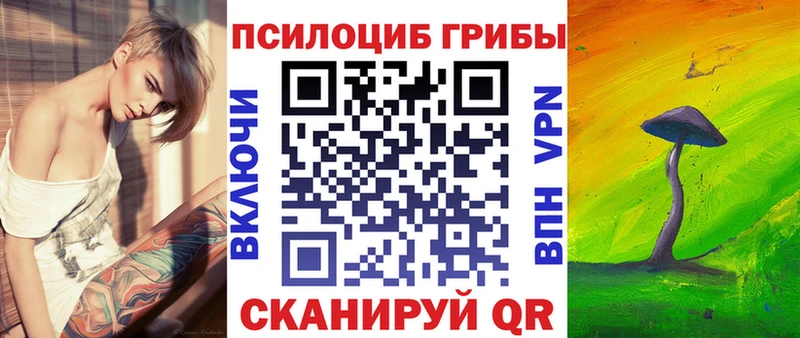 Псилоцибиновые грибы Psilocybine cubensis  Чехов 