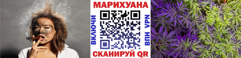 кракен сайт  Чехов  Бошки марихуана сатива 